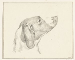 Testa di un cane, a destra da Jean Bernard