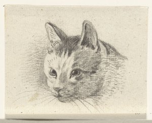Testa di un gatto da Jean Bernard