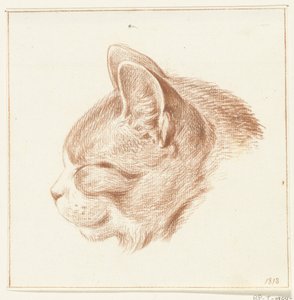 Testa di un gatto, verso sinistra