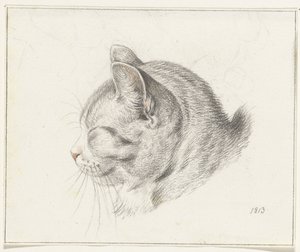 Testa di un gatto, verso sinistra da Jean Bernard