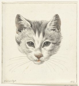 Testa di un gatto, vista di fronte alla luce di una candela da Jean Bernard