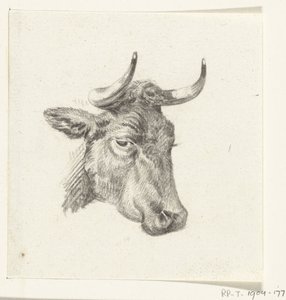 Testa di una mucca da Jean Bernard