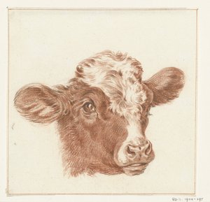 Testa di una mucca