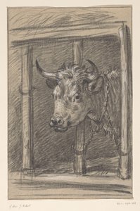 Testa di una mucca, attraverso le sbarre di una stalla da Jean Bernard