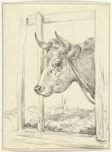Testa di una mucca, in una stalla, verso sinistra da Jean Bernard