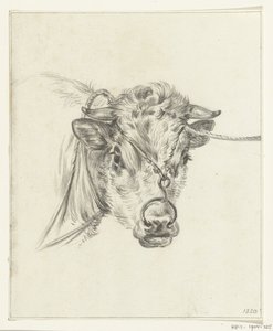 Testa di una mucca, con un anello al naso da Jean Bernard