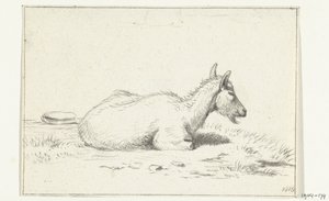 Capra sdraiata, verso destra da Jean Bernard