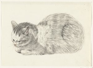 Gatto sdraiato, verso sinistra da Jean Bernard