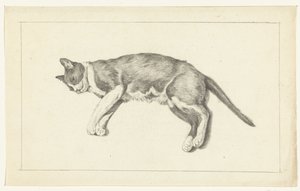 Gatto sdraiato, visto dall