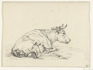 Mucca sdraiata, verso destra da Jean Bernard