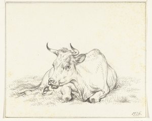 Mucca sdraiata, di fronte da Jean Bernard