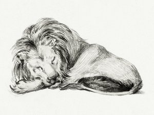 Il leone sdraiato da Jean Bernard