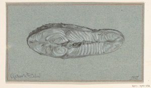 Trancio di salmone cotto da Jean Bernard