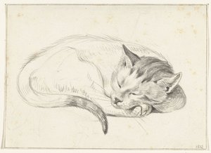 Gatto arrotolato che dorme da Jean Bernard