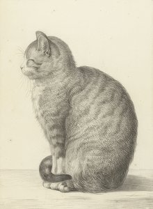 Gatto seduto, a sinistra. 1815