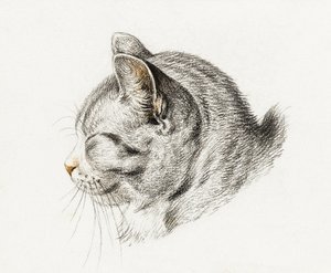 Schizzo di un gatto (1813) da Jean Bernard