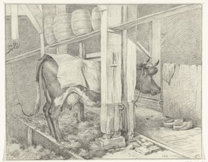 Mucca in piedi con una coperta da Jean Bernard