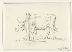Mucca in piedi, con la testa tra i pali da Jean Bernard
