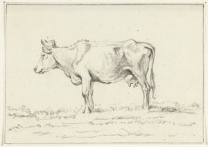 Mucca in piedi, verso sinistra da Jean Bernard