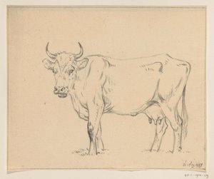 Mucca in piedi, verso sinistra da Jean Bernard