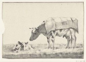 Mucca in piedi, verso sinistra, con vitellino sdraiato da Jean Bernard