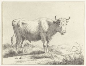 Mucca in piedi, verso destra da Jean Bernard