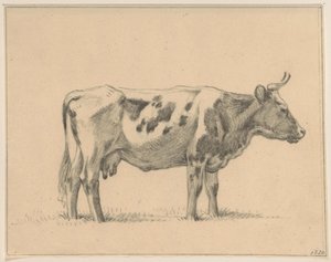 Mucca in piedi, a destra da Jean Bernard