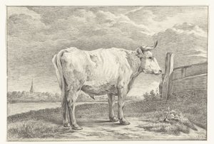 Toro in piedi, verso destra da Jean Bernard