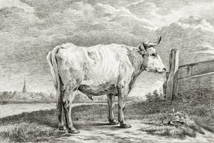 Toro in piedi (1817) da Jean Bernard