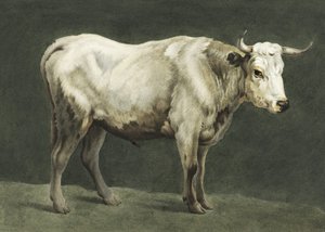 Dipinto di Toro in piedi da Jean Bernard