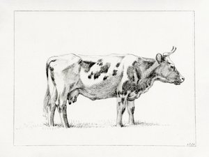 Mucca in piedi (1820) da Jean Bernard