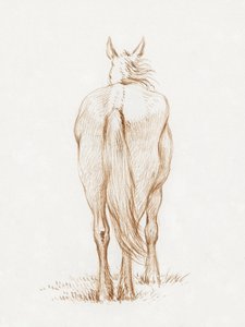 Cavallo in piedi (1815) di Jean Bernard da Jean Bernard