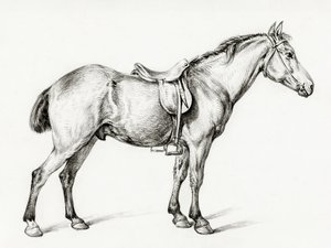 Cavallo in piedi di Jean Bernard (1775-1883) da Jean Bernard