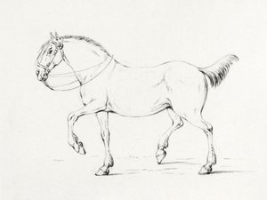 Stepping Horse (1775–1833) da Jean Bernard