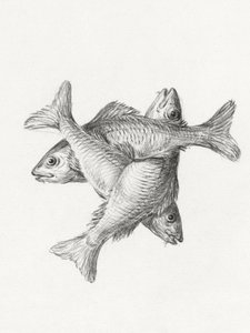 Three Fishes (1775–1833) da Jean Bernard