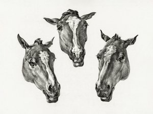 Tre teste di cavallo (1812) da Jean Bernard