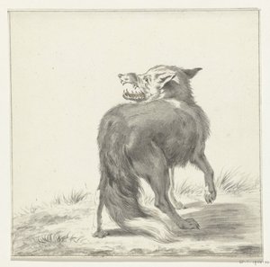Volpe da Jean Bernard
