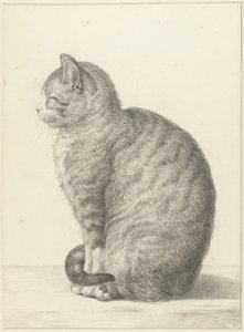 Gatto seduto, verso sinistra