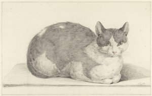 Gatto seduto, verso destra da Jean Bernard