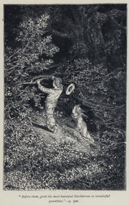 "Davanti a loro, crescevano le more più belle in quantità meravigliose" da Jean Edouard Dargent