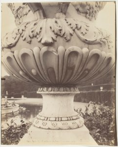 Versailles, Vaso da Jean Eugène Auguste Atget