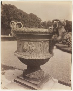 Versailles, vaso di Ballin da Jean Eugène Auguste Atget