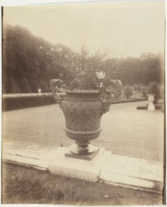 Versailles, vaso di Ballin da Jean Eugène Auguste Atget