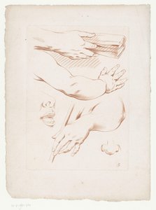 Composizione con braccia, naso e parte di un volto (serie) da Jean Francois Janinet
