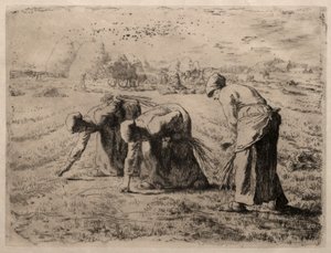 Le spigolatrici (acquaforte) da Jean Francois Millet