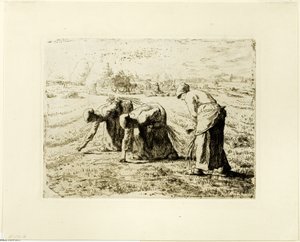 Gli Spigolatori