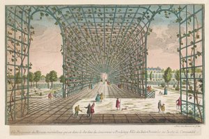 Veduta del pergolato meraviglioso nel giardino del governatore a Pondicherry da Jean François Daumont