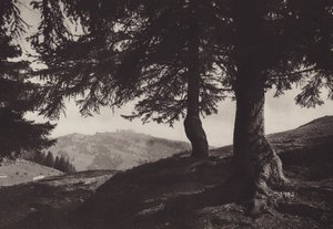Rigi Staffel, sentiero presso Staffel