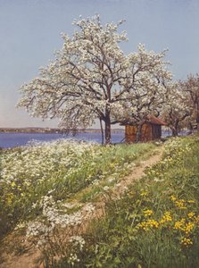 Svizzera: Tempo di Maggio