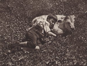Svizzera: Siesta